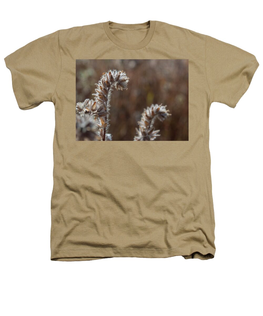 Bristly Heathers T-Shirt featuring the photograph Bristly Fiddleneck 2 by Rick Mosher