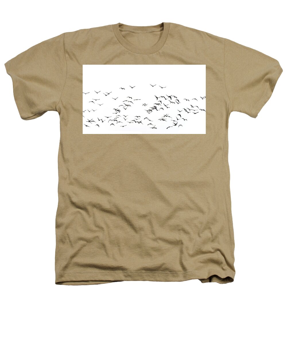 Lapwing Heathers T-Shirt featuring the photograph Flock of beautiful migratory lapwing birds in clear Winter sky i by Matthew Gibson