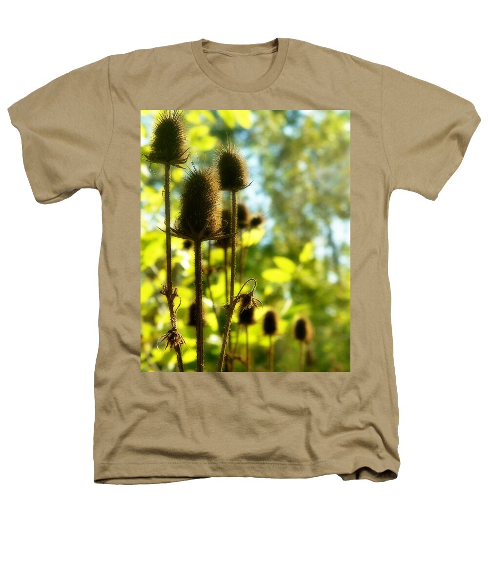 Teasels Heathers T-Shirt featuring the photograph Golden Autumn Teasels by Gothicrow Images