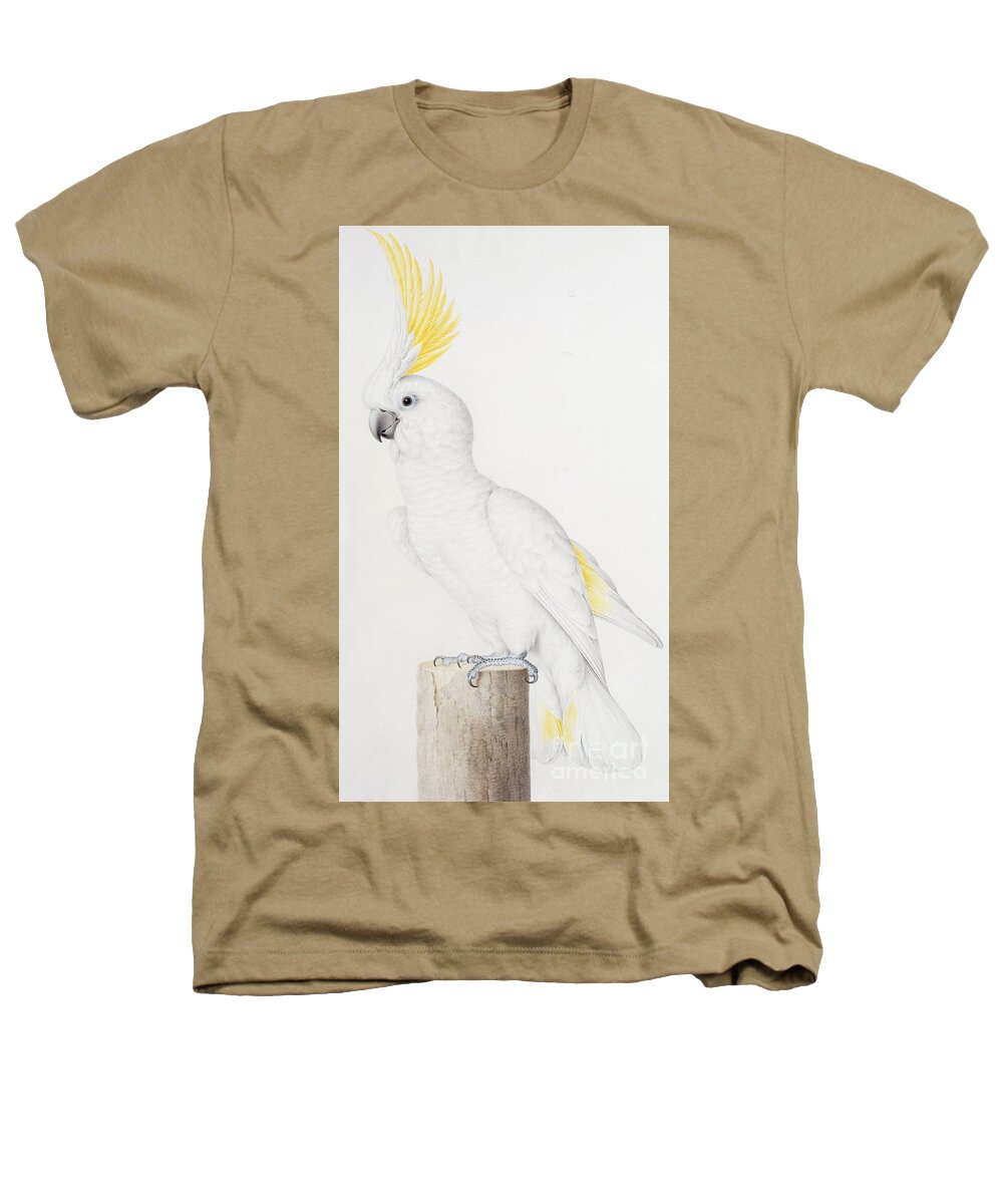 Sulphur-crested Cockatoo Heathers T-Shirt featuring the painting Sulphur crested Cockatoo by Nicolas Robert