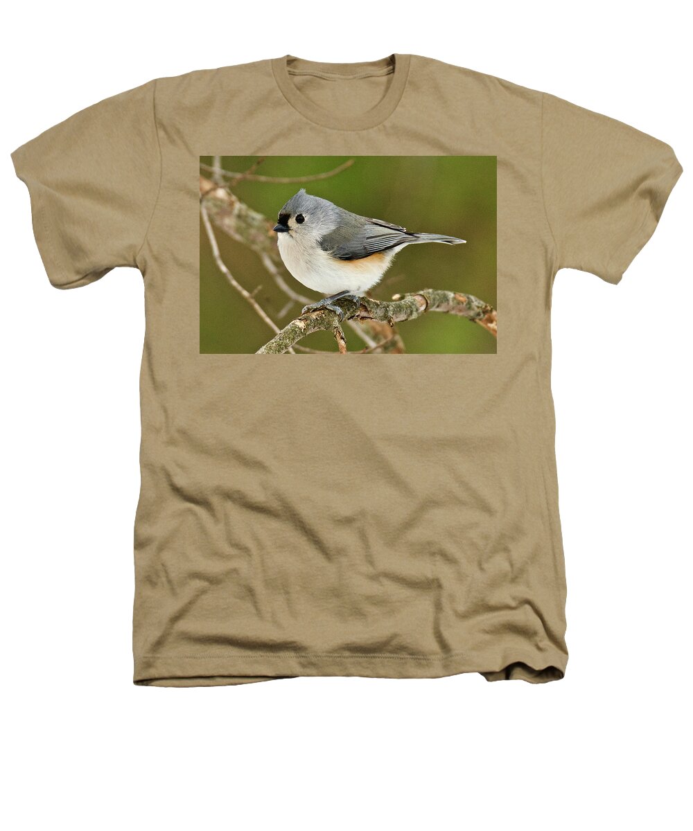 Tufted Titmouse Heathers T-Shirt featuring the photograph Tufted Titmouse 011 by Michael Peychich