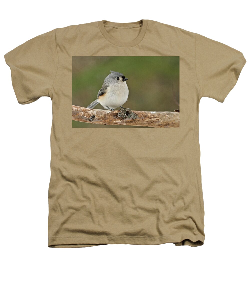 Tufted Titmouse Heathers T-Shirt featuring the photograph Tufted Titmouse 012 by Michael Peychich