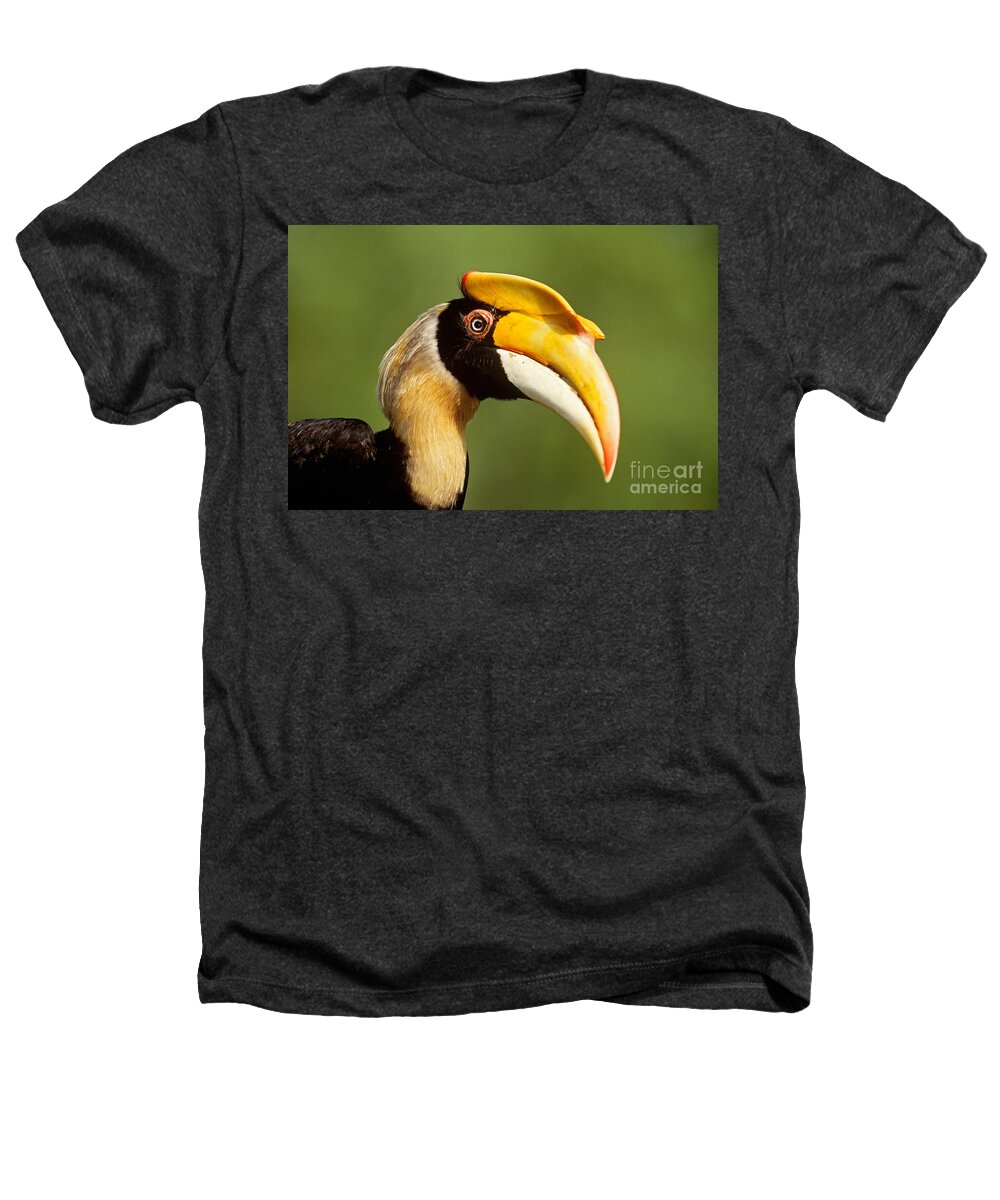 Great Indian Hornbill Heathers T-Shirt featuring the photograph Great Hornbill #1 by Art Wolfe