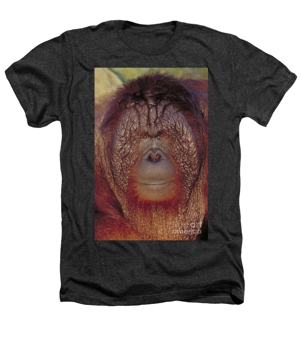 Vertical Heathers T-Shirt featuring the photograph Bornean Orangutan #4 by Art Wolfe