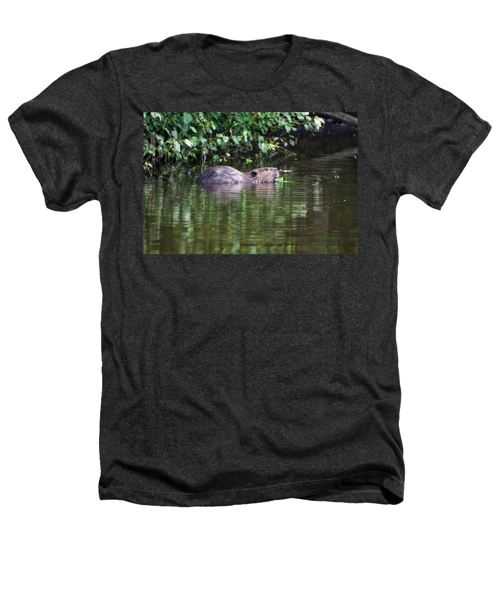 Beaver Heathers T-Shirt featuring the photograph beaver swims in NC lake by Flees Photos
