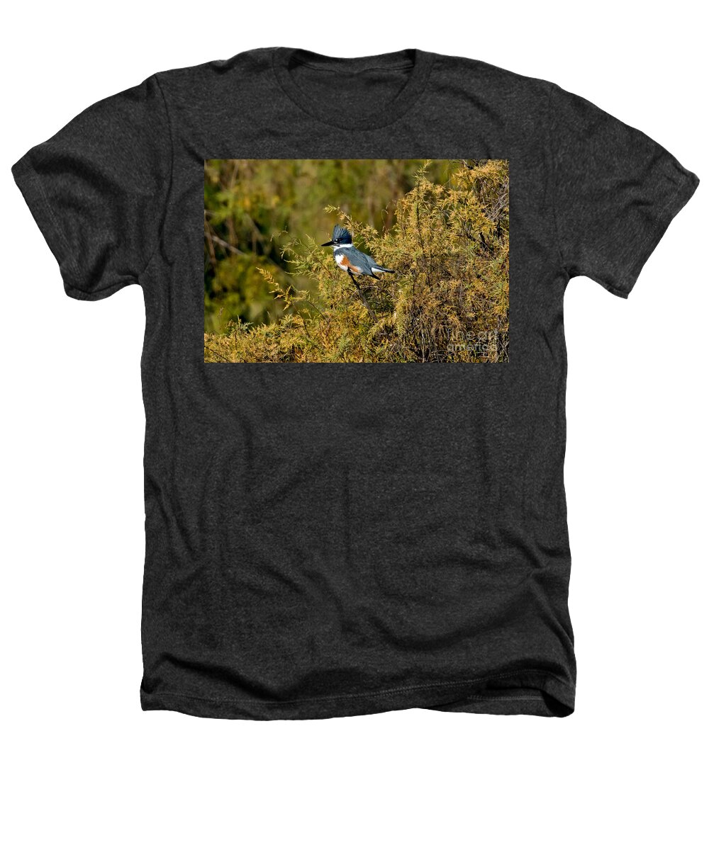 Vertical Heathers T-Shirt featuring the photograph Belted Kingfisher Female by Anthony Mercieca