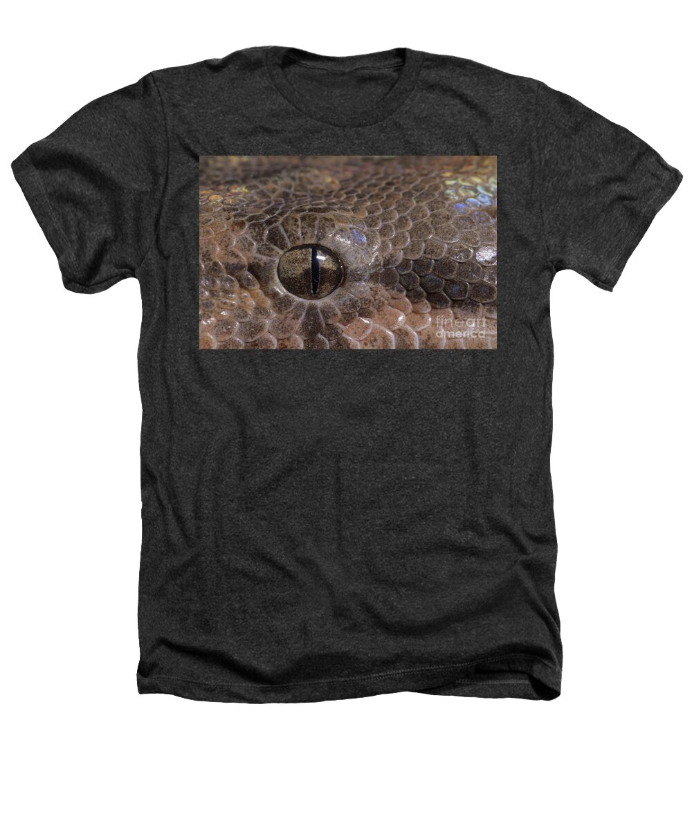 Animal Heathers T-Shirt featuring the photograph Boa Constrictor by Chris Mattison FLPA 