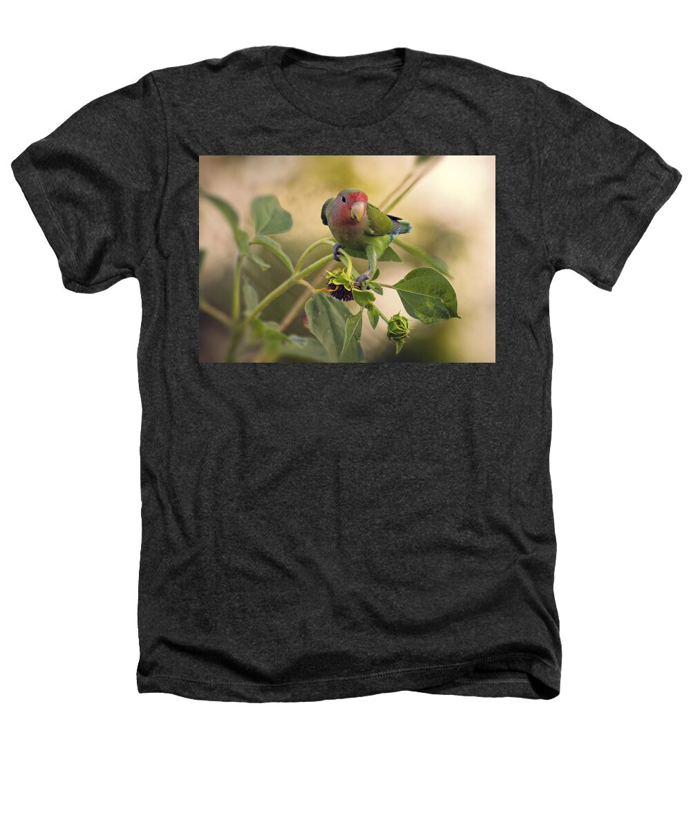 Peach Faced Lovebird Heathers T-Shirt featuring the photograph Lovebird on Sunflower Branch by Saija Lehtonen
