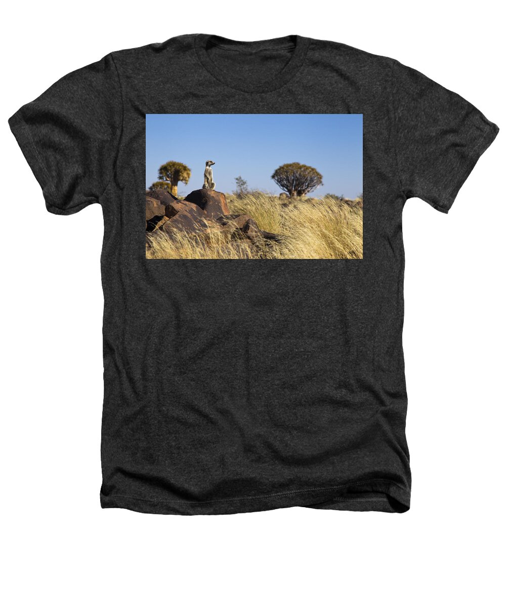 Vincent Grafhorst Heathers T-Shirt featuring the photograph Meerkat In Quiver Tree Grassland by Vincent Grafhorst