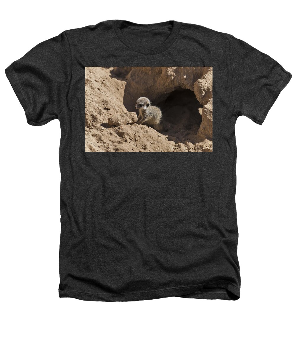 Meerkat Heathers T-Shirt featuring the photograph Meerkat by Mark Newman
