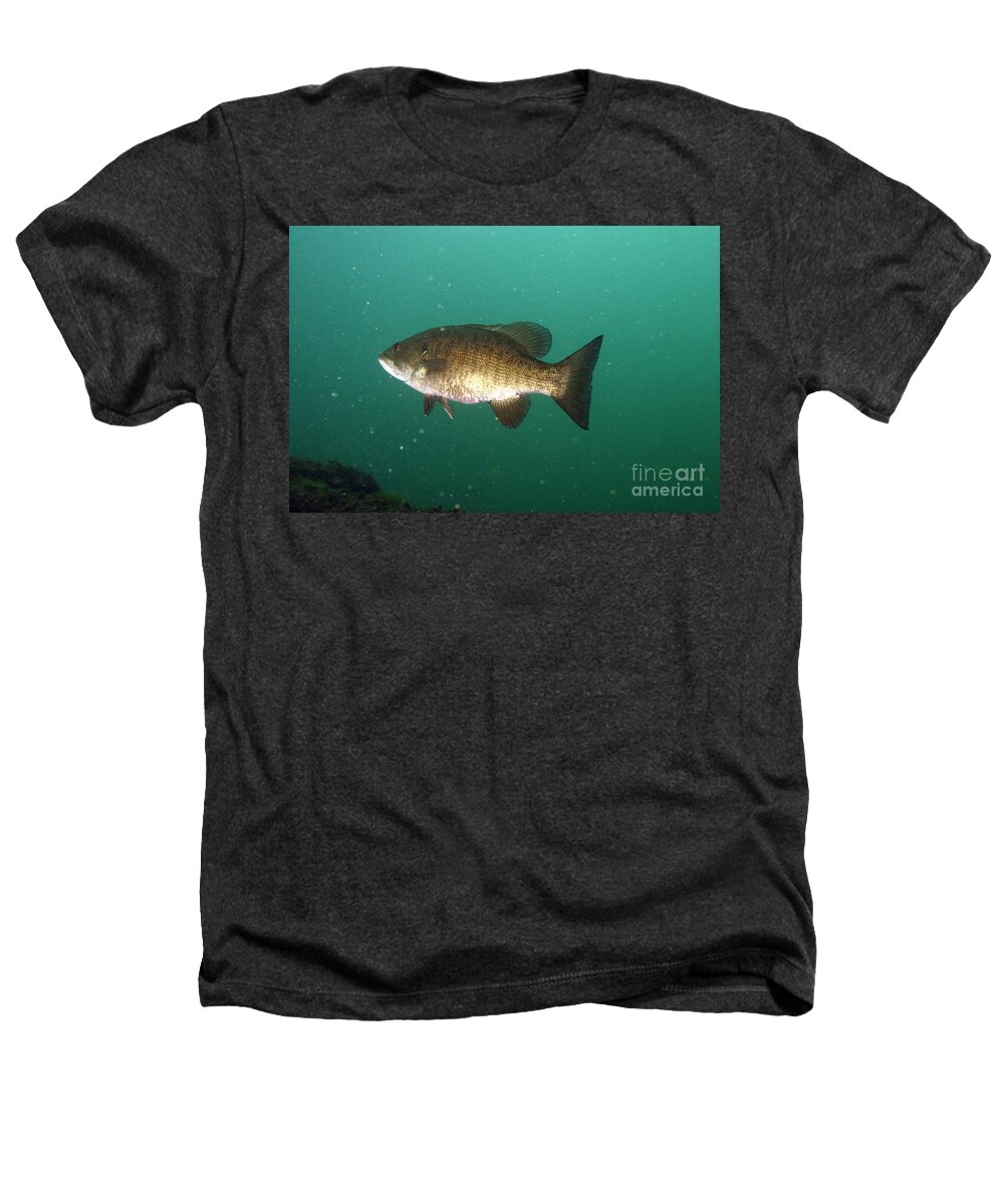 Fish Heathers T-Shirt featuring the Smallmouth Bass #2 by Ted Kinsman
