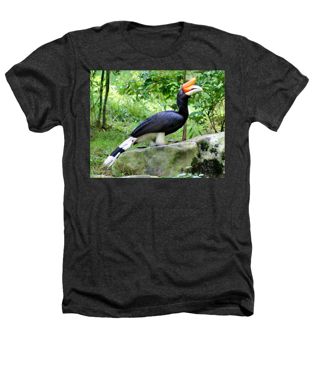 Rhino Hornbill Heathers T-Shirt featuring the photograph Fancy Pants by Kristin Elmquist