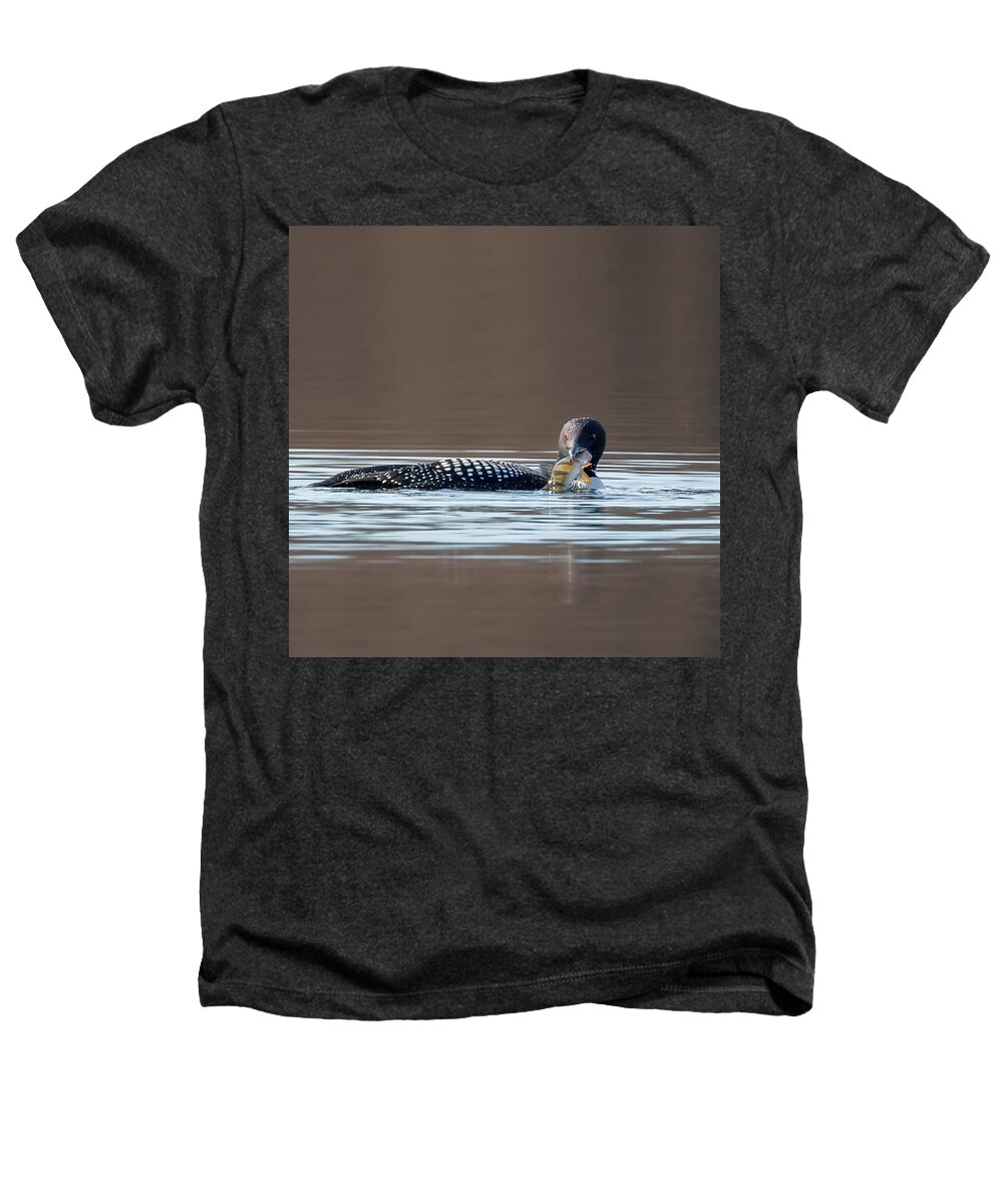Square Heathers T-Shirt featuring the photograph Feeding Common Loon Square by Bill Wakeley