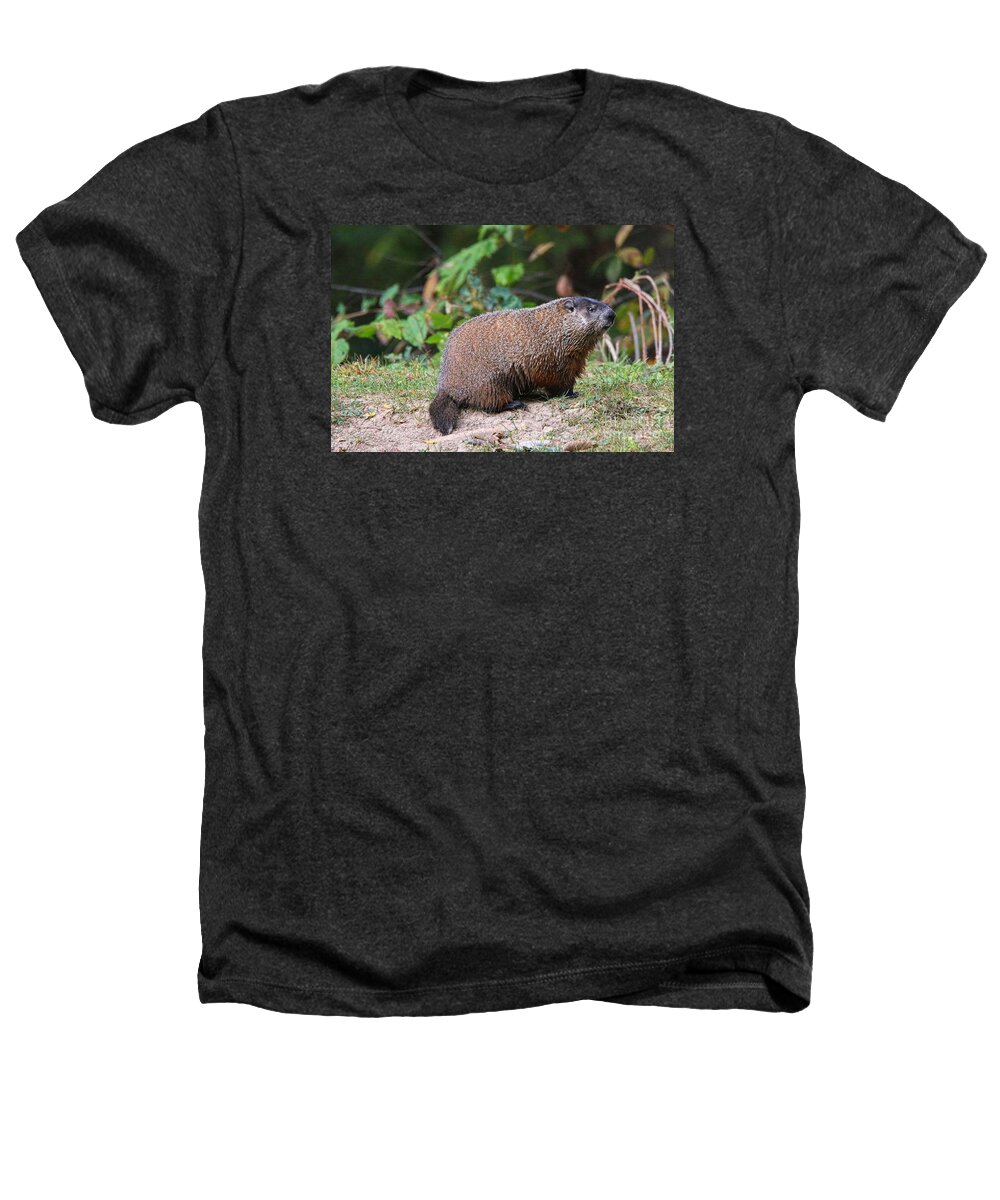 Groundhog Heathers T-Shirt featuring the photograph Groundhog 0590 by Jack Schultz
