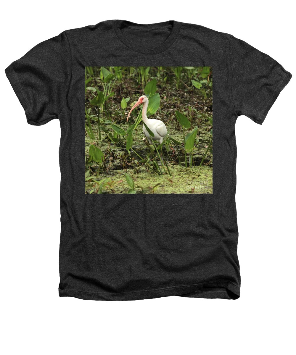 Ibis In Swamp Heathers T-Shirt featuring the photograph Ibis in the Swamp by Carol Groenen