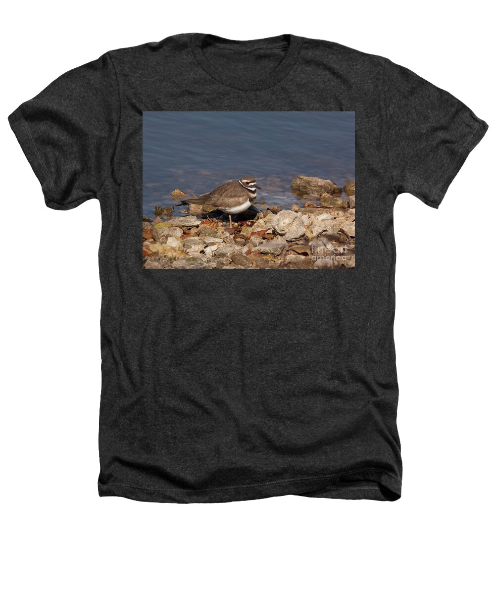 Killdeer Heathers T-Shirt featuring the photograph Kildeer On The Rocks by Robert Frederick