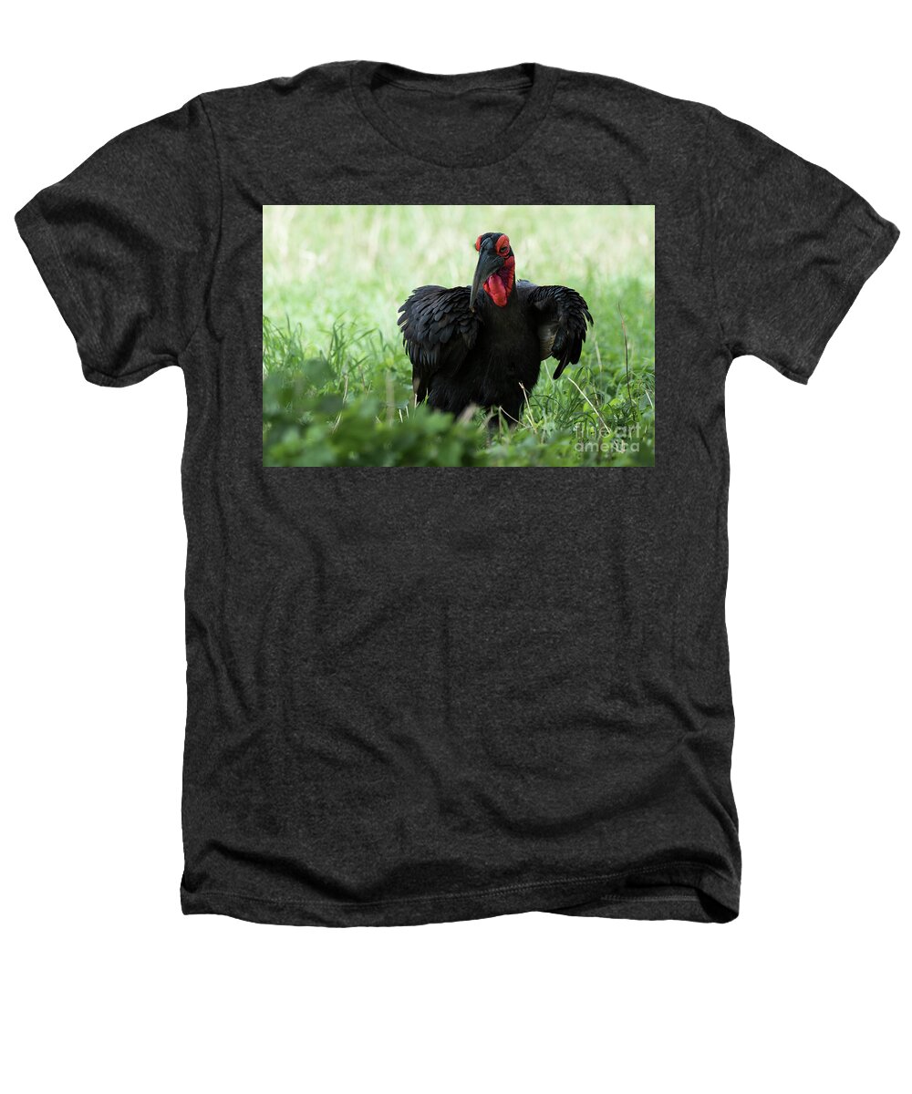 Hornbill Heathers T-Shirt featuring the photograph Southern ground hornbill eating an insect in Tarangire by RicardMN Photography
