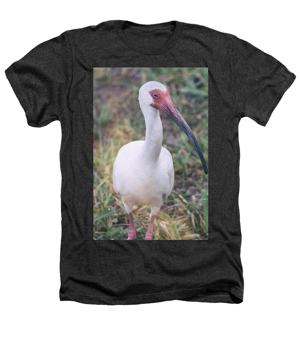 White Ibis Heathers T-Shirt featuring the photograph White Ibis in the Morning Light by Saija Lehtonen