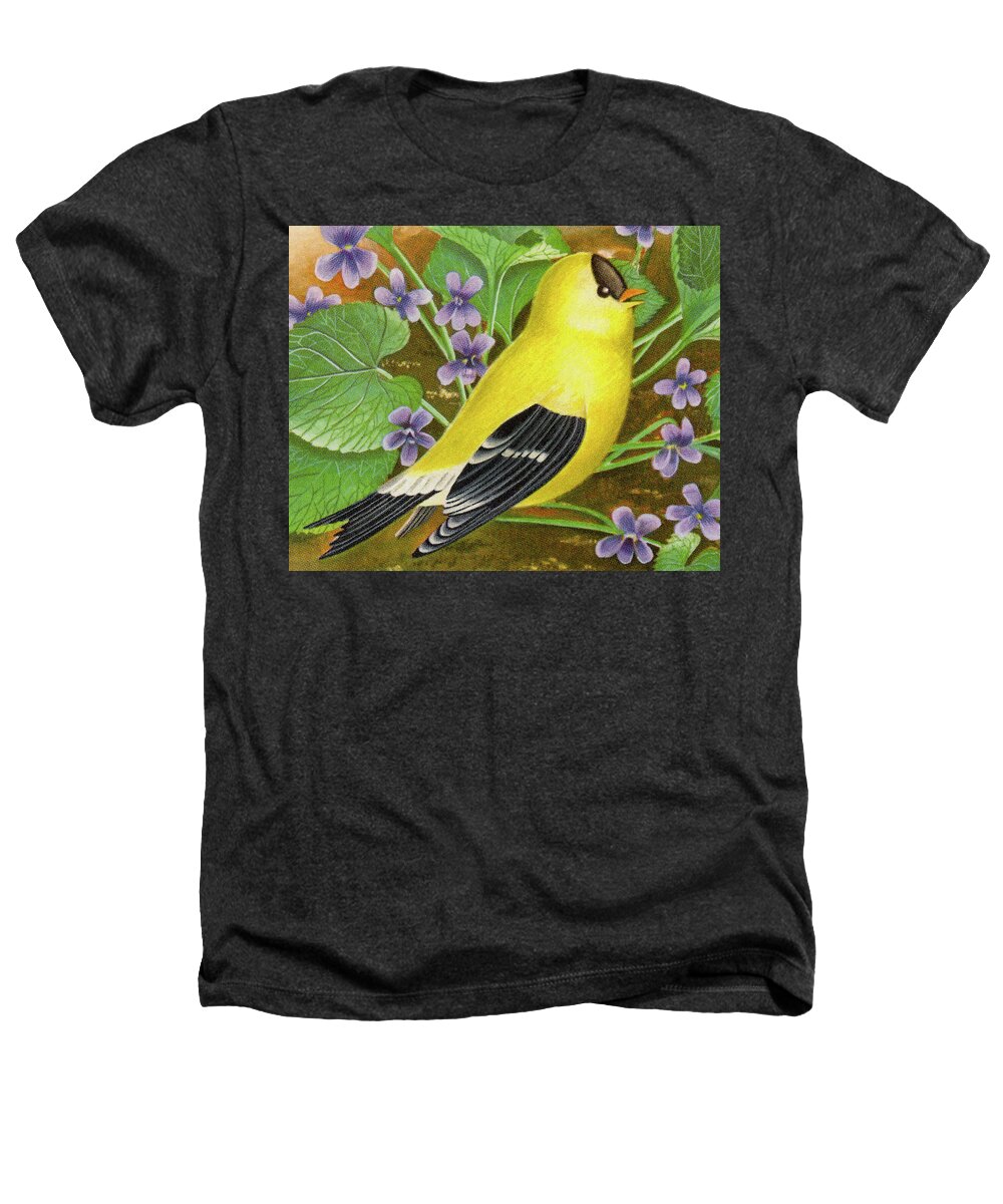 Animal Heathers T-Shirt featuring the drawing Yellow Finch #1 by CSA Images