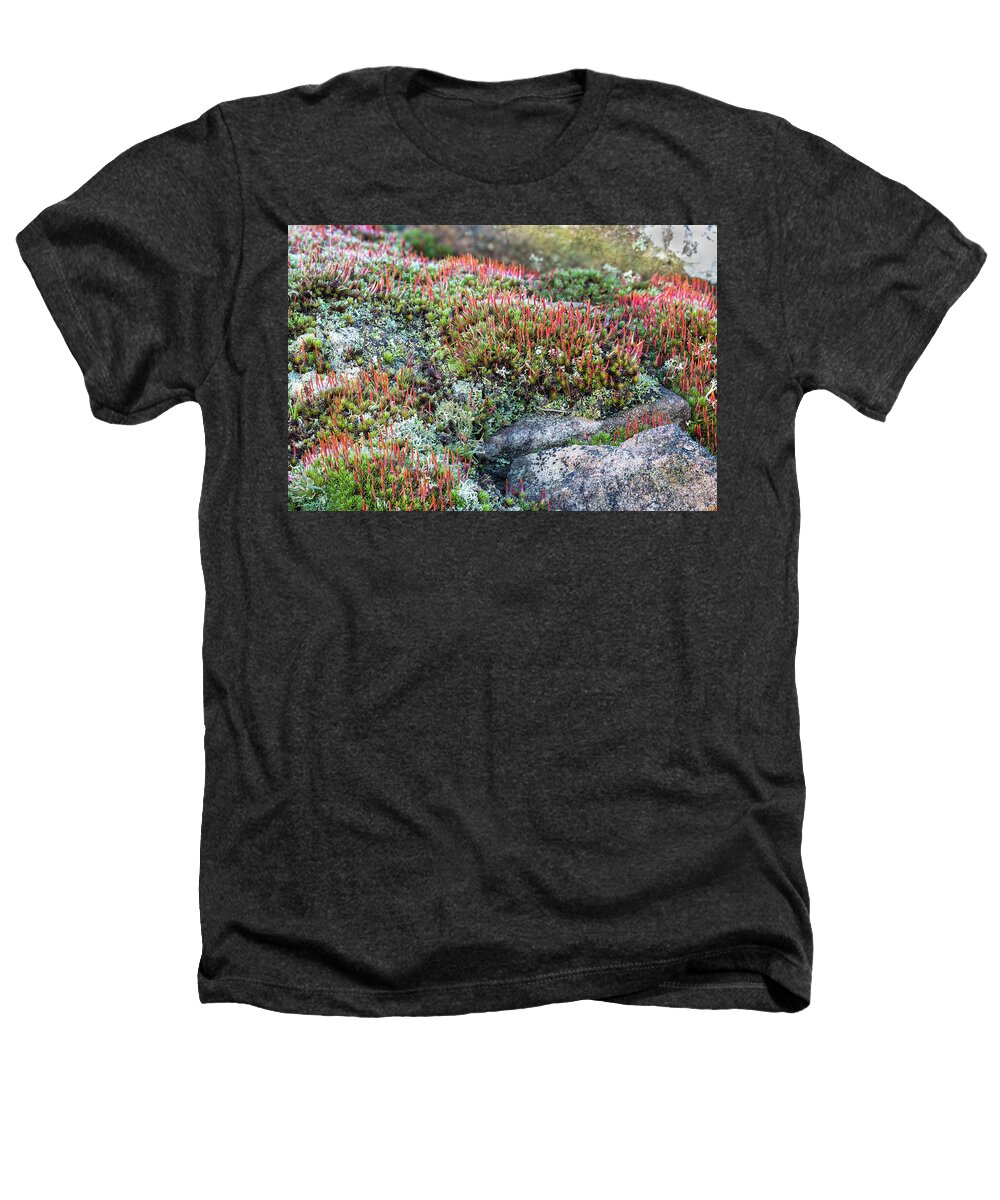Plant Heathers T-Shirt featuring the photograph Bristly Haircap Moss With Young Sporophytes, Growing On Top by Chris Mattison / Naturepl.com