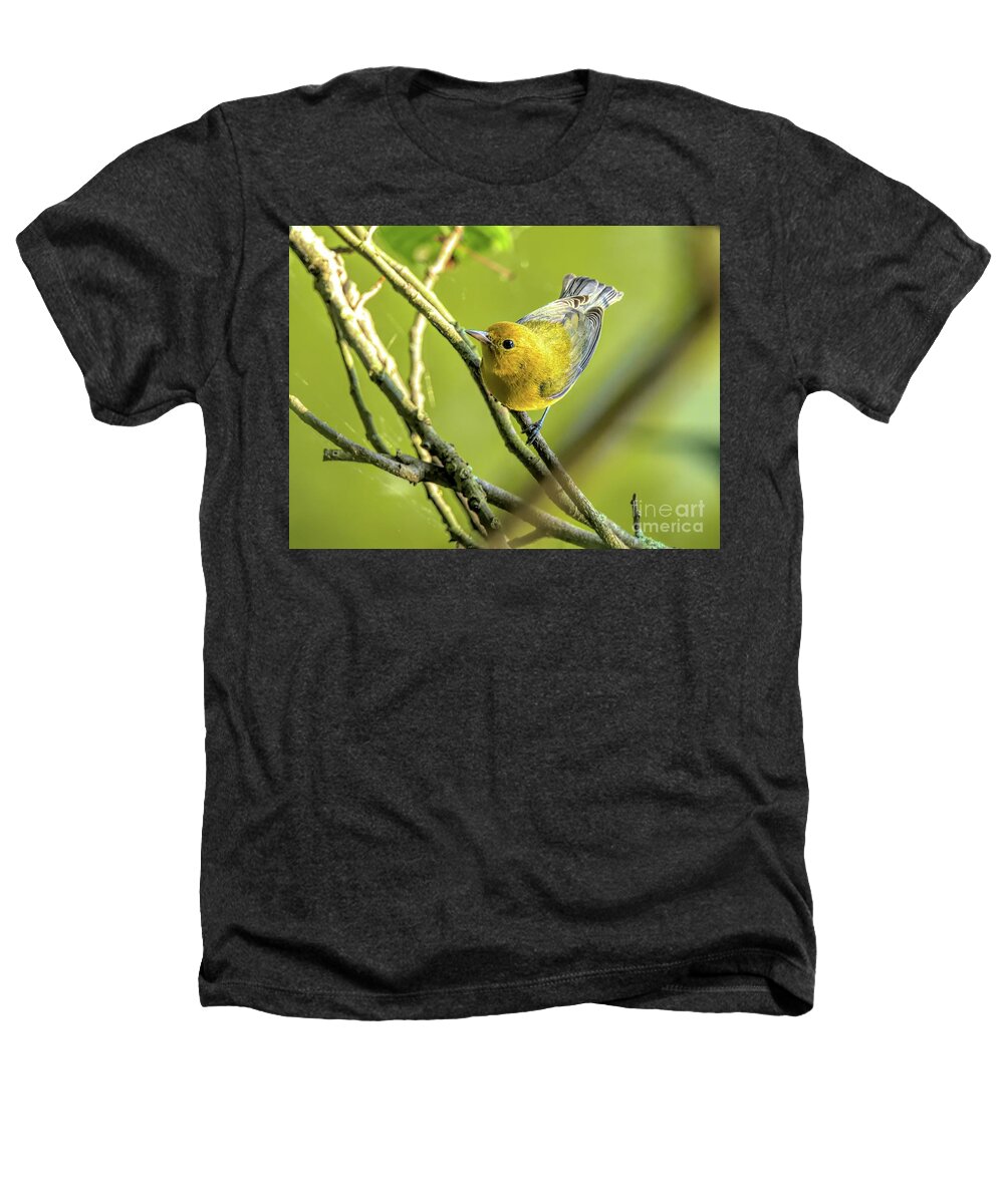 Warbler Heathers T-Shirt featuring the photograph Prothonotary Warbler by Jennifer Jenson
