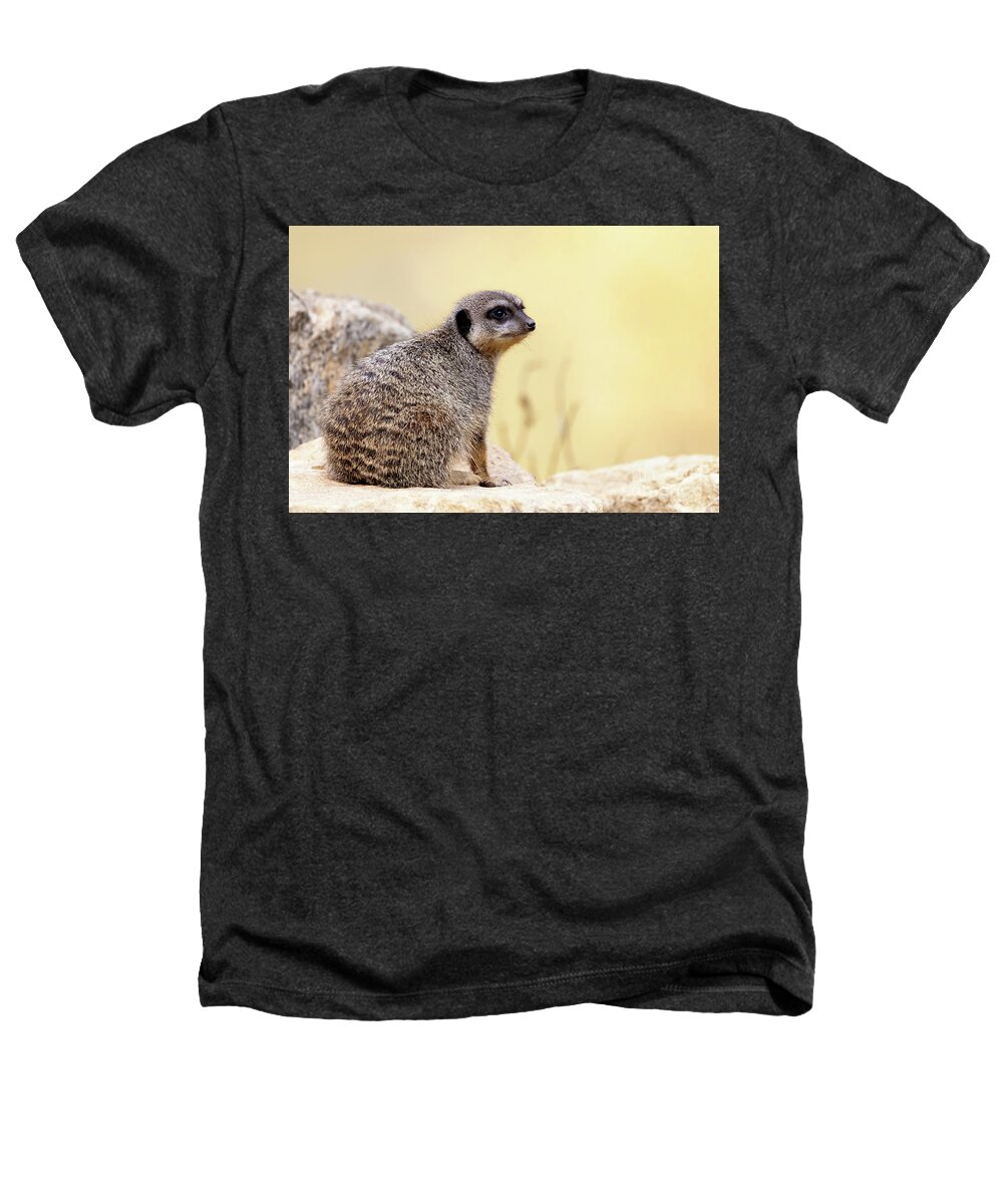 Meerkat Heathers T-Shirt featuring the photograph Watchful meerkat keeps a lookout. by Jane Rix