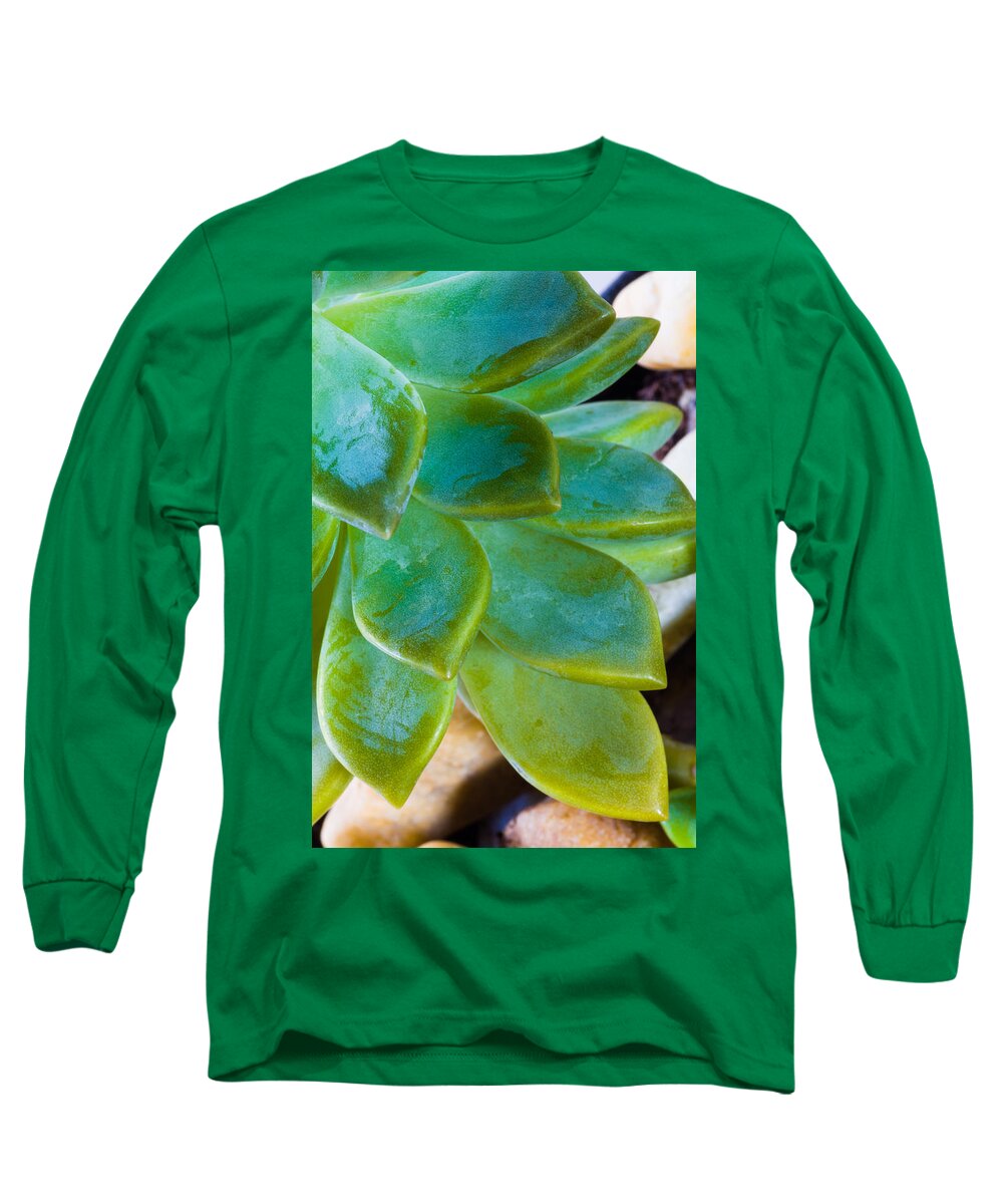 Beautiful Long Sleeve T-Shirt featuring the photograph Blue Pearl Plant by Raul Rodriguez