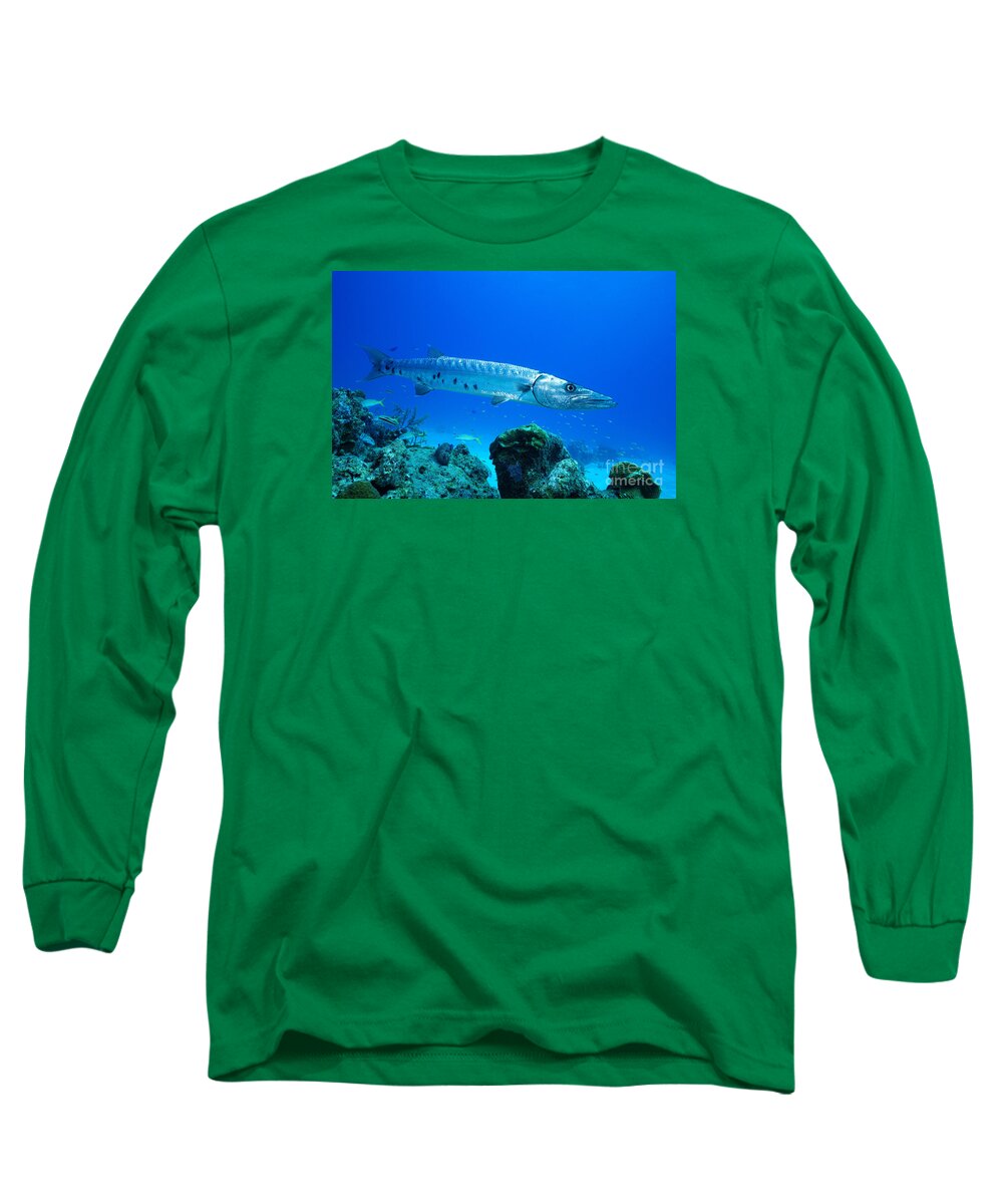 Barracuda Long Sleeve T-Shirt featuring the photograph Shimmer by Aaron Whittemore