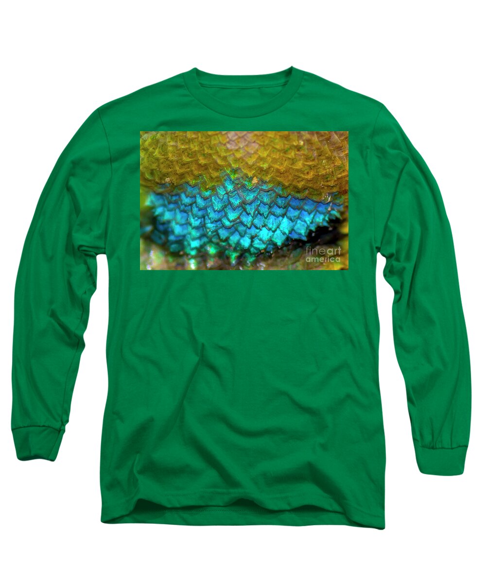 Black Long Sleeve T-Shirt featuring the photograph Emerald Throat by Shawn Jeffries