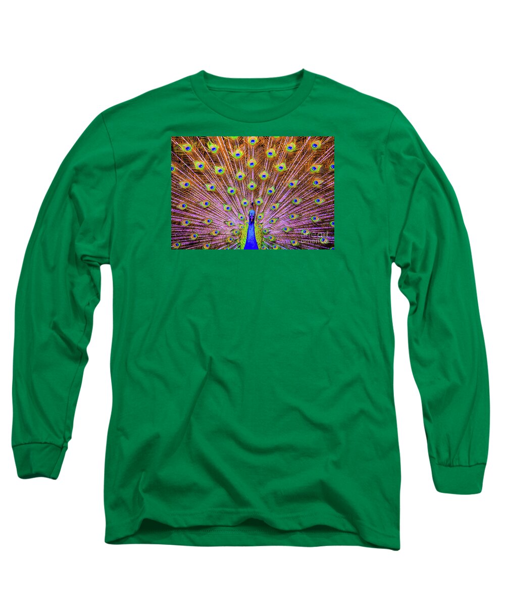 Bird Long Sleeve T-Shirt featuring the photograph The Majestic Peacock by D Davila
