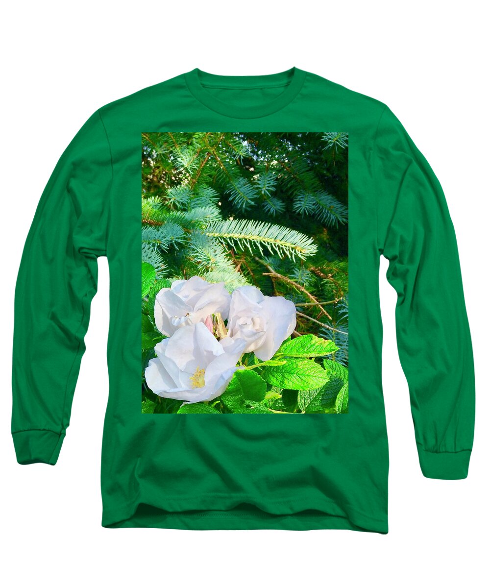 Evergreens And Wild Rose Long Sleeve T-Shirt featuring the photograph Evergreens and Wild Roses by Debra Grace Addison