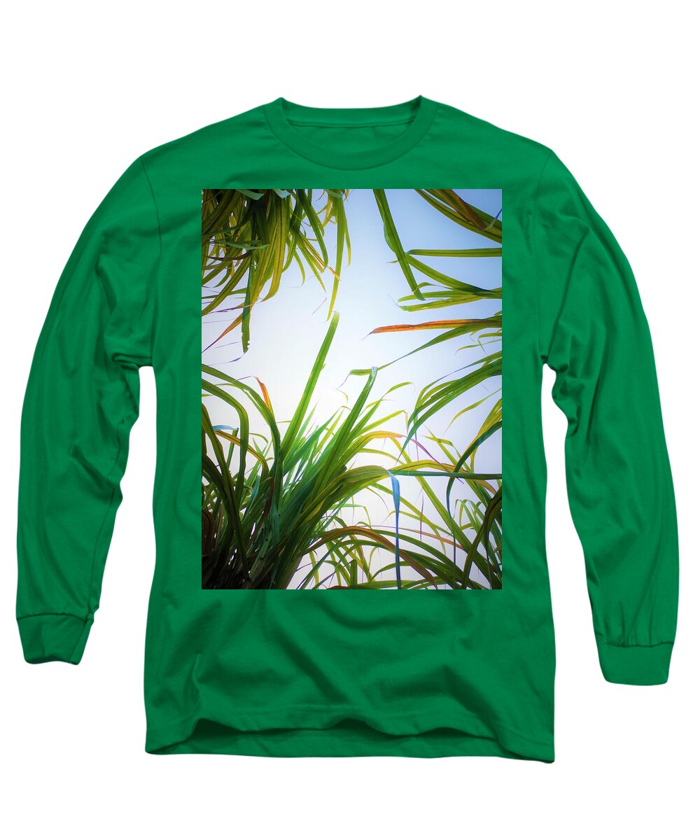 Sugar Cane Long Sleeve T-Shirt featuring the photograph Sweet Dreams by Jarek Filipowicz