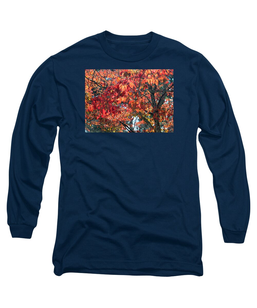 Autumn Long Sleeve T-Shirt featuring the photograph Autumn Leaves #6 by Rafael Salazar