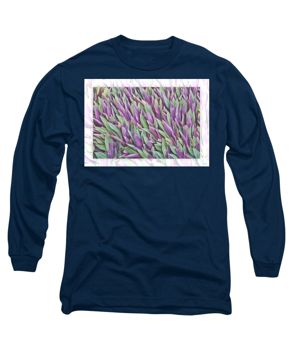 Floral Long Sleeve T-Shirt featuring the photograph Purple and Green by Holly Kempe