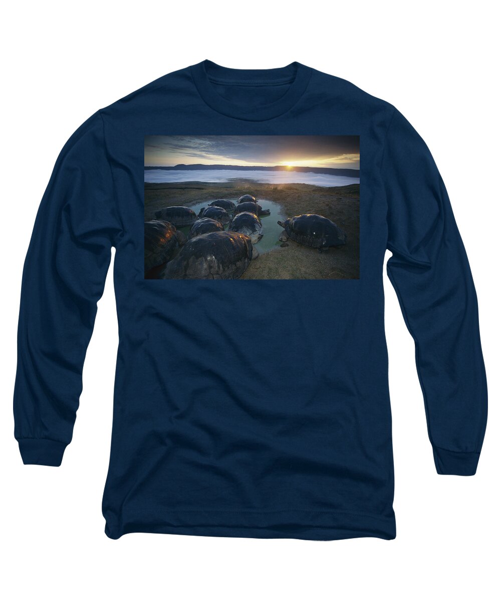 Feb0514 Long Sleeve T-Shirt featuring the photograph Volcan Alcedo Giant Tortoise Wallowing #1 by Tui De Roy
