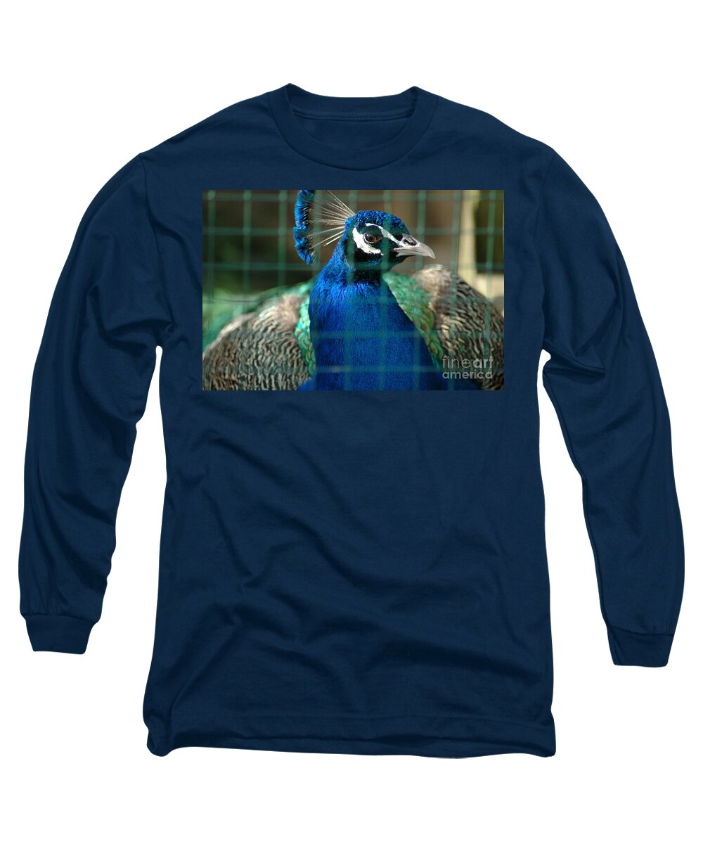 Peacock Long Sleeve T-Shirt featuring the photograph Beauty in Captivity by Randi Grace Nilsberg