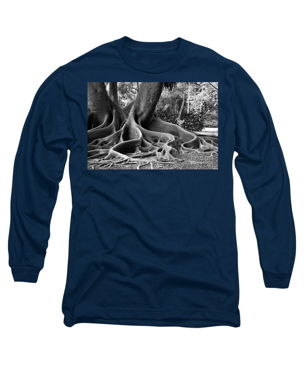 Ficus Long Sleeve T-Shirt featuring the photograph Big Roots by Judy Wolinsky