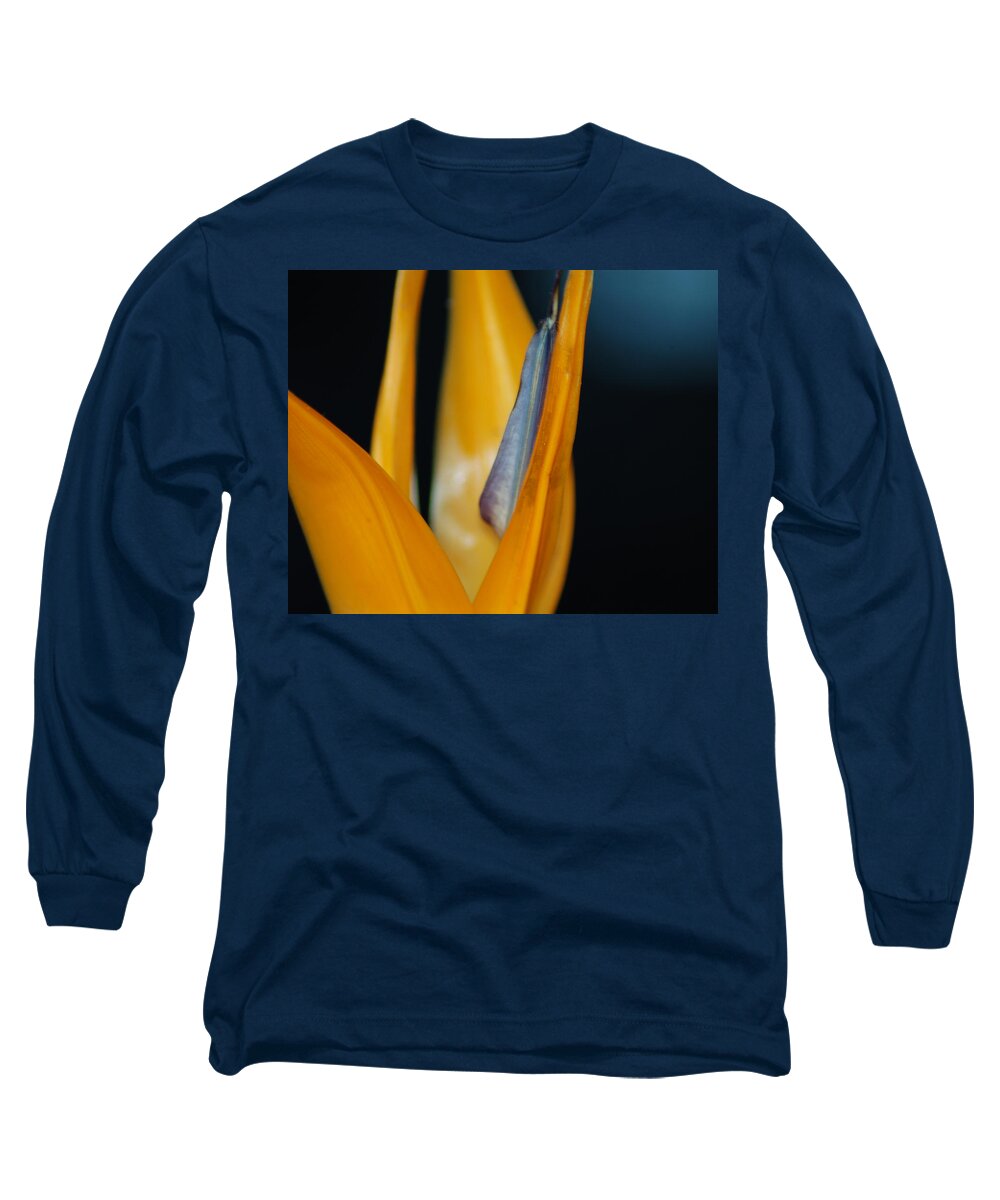 Flower Long Sleeve T-Shirt featuring the photograph Birds of Paradise by Matt Quest