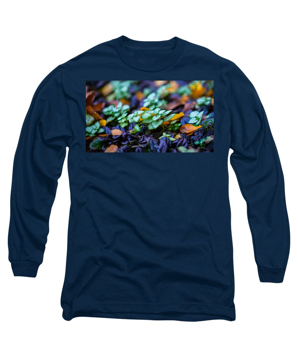 Plants Long Sleeve T-Shirt featuring the photograph Colors by David Downs