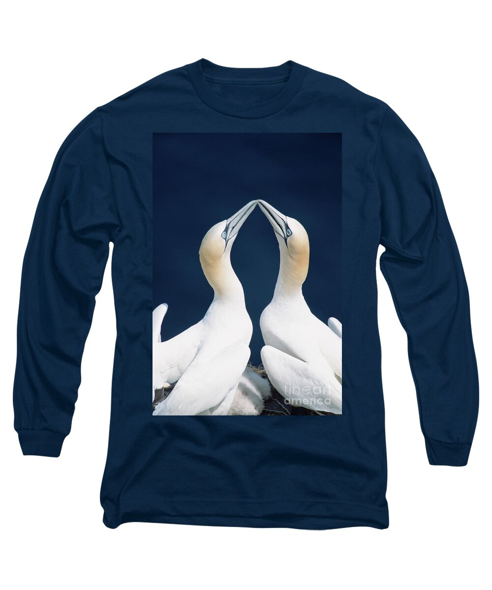 00342365 Long Sleeve T-Shirt featuring the photograph Greeting Gannets by Yva Momatiuk John Eastcott