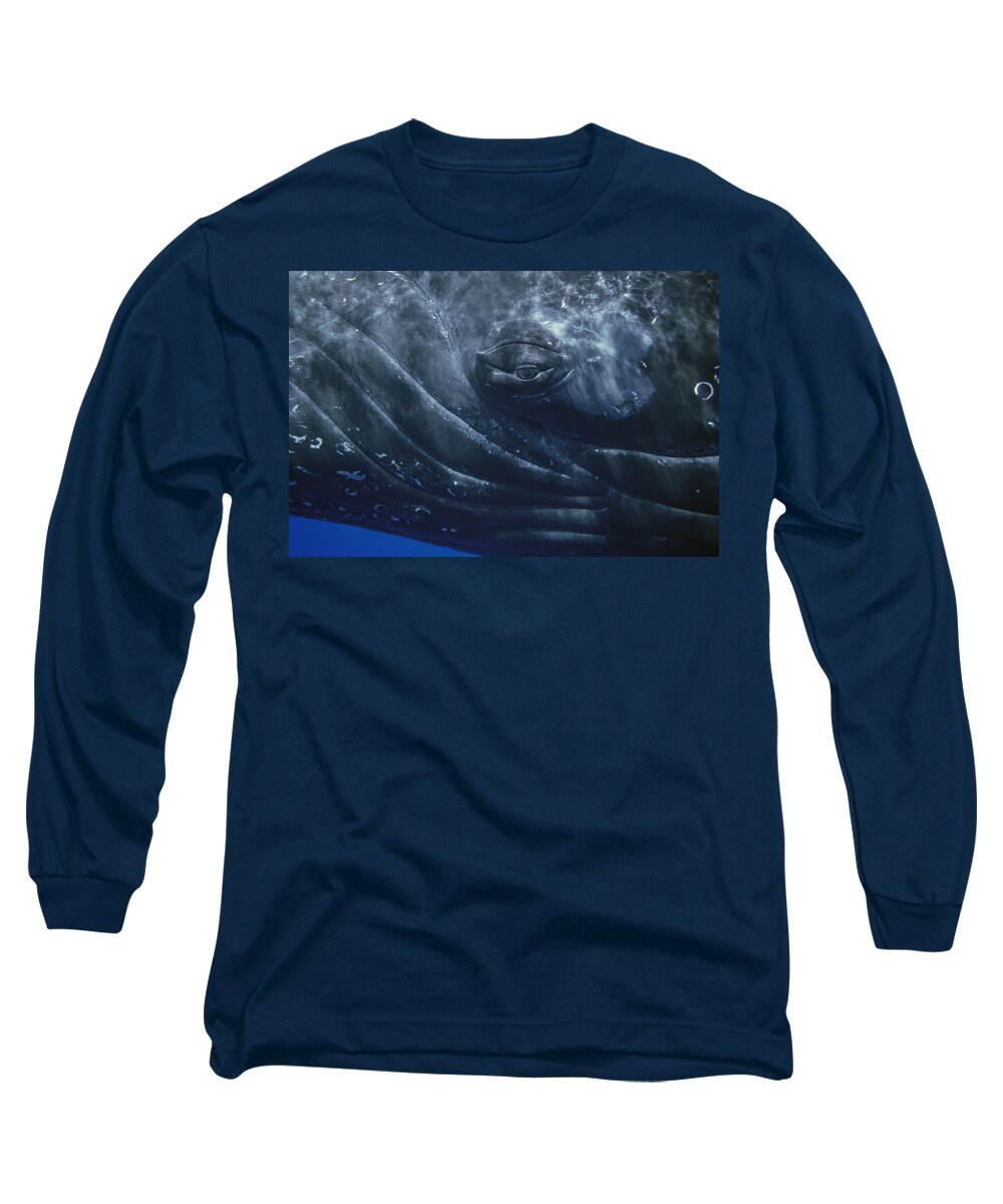 Feb0514 Long Sleeve T-Shirt featuring the photograph Humpback Whale Eye Of Singer Maui Hawaii by Flip Nicklin