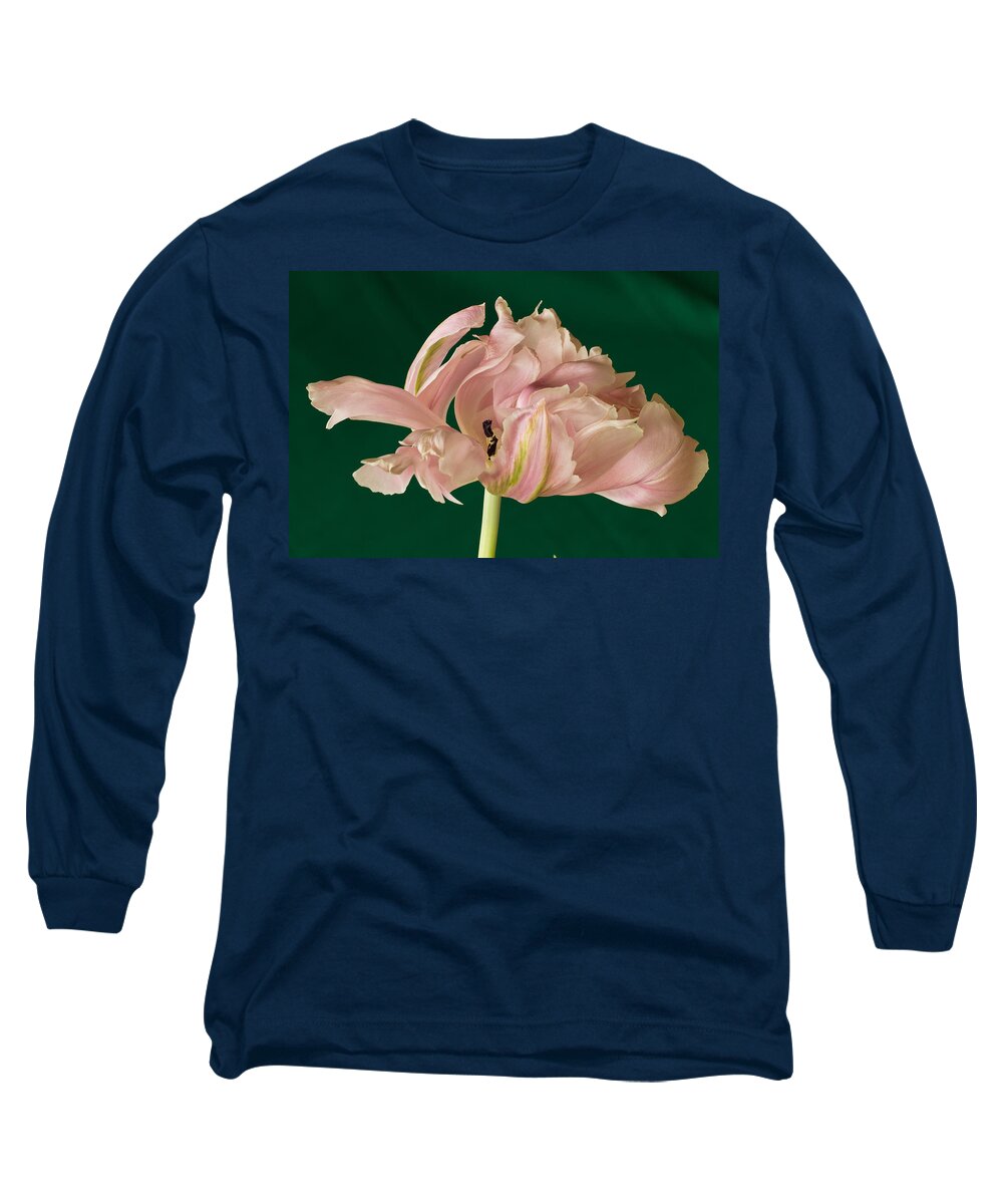 Macro Long Sleeve T-Shirt featuring the photograph Lacey Tulip by Patricia Schaefer