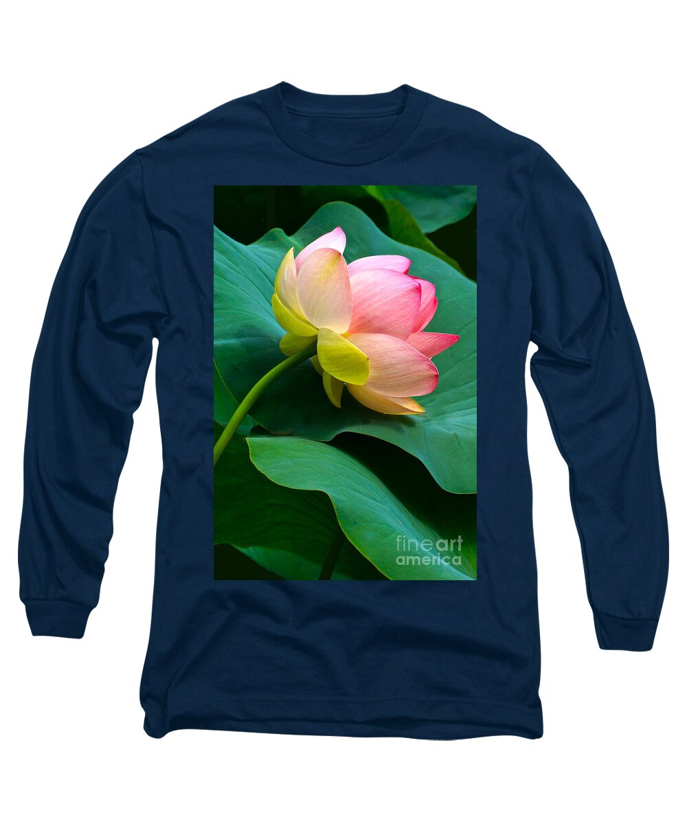 Lotus Blossom And Leaves Long Sleeve T-Shirt featuring the photograph Lotus Blossom And Leaves by Byron Varvarigos