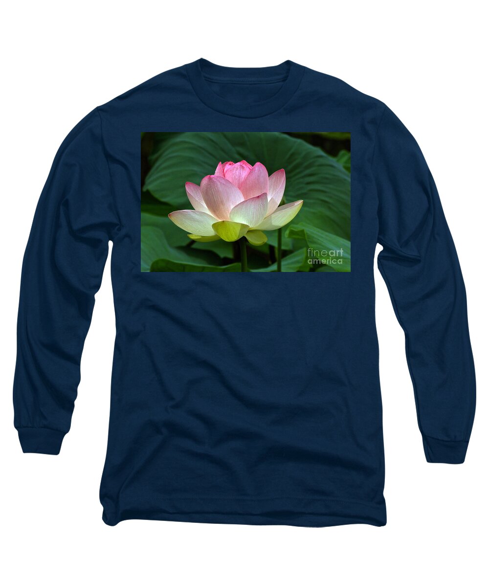 Lotus Hybrid Mrs Perry Slocum Long Sleeve T-Shirt featuring the photograph Lotus Light -- view B by Byron Varvarigos