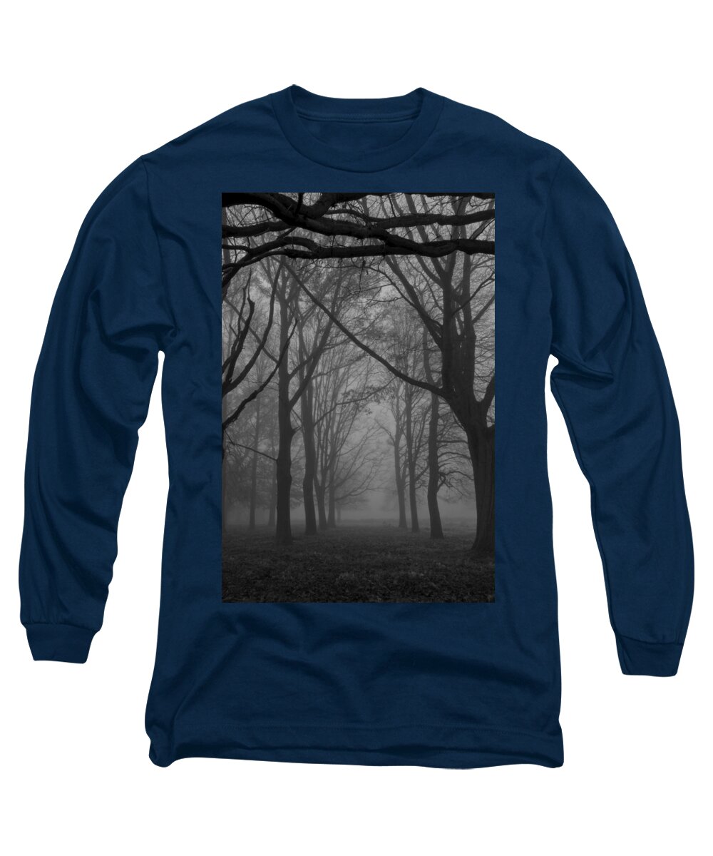 Mist Long Sleeve T-Shirt featuring the photograph Mist in the Park by Maj Seda