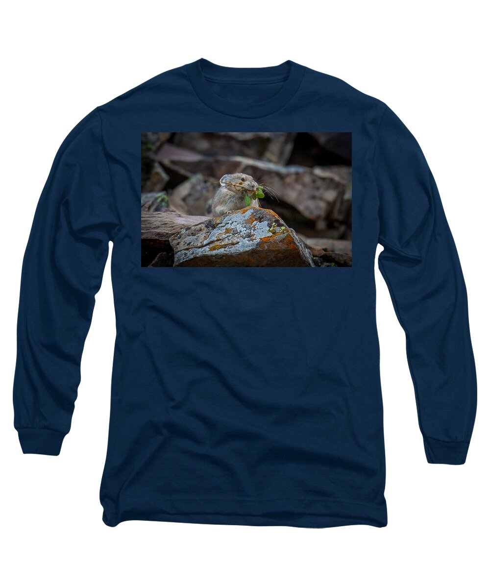  Long Sleeve T-Shirt featuring the photograph Pika Hustle by Kevin Dietrich