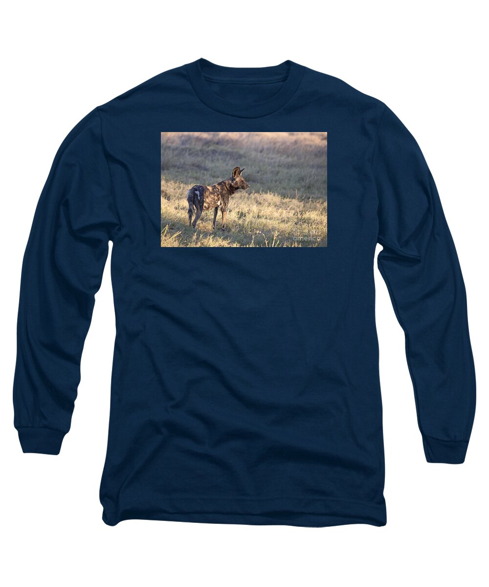 Wild Dog Long Sleeve T-Shirt featuring the photograph Pregnant African Wild Dog by Liz Leyden