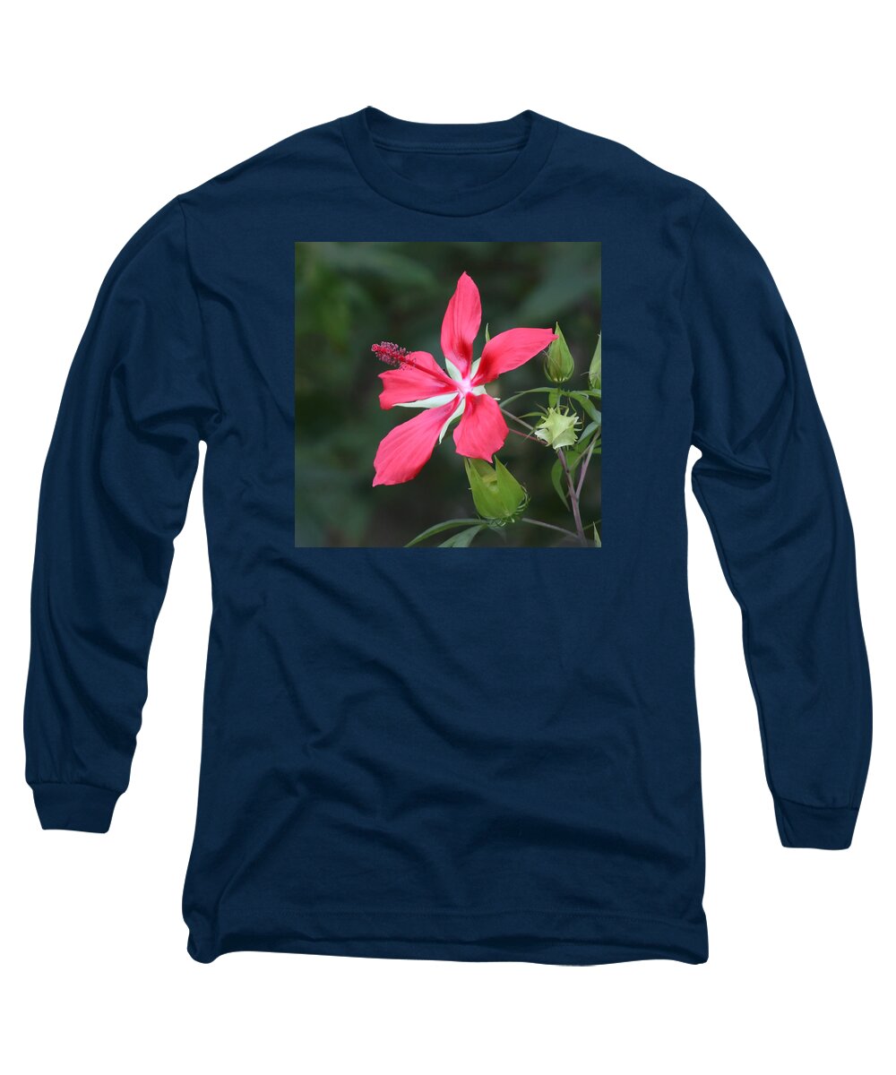 Scarlet Long Sleeve T-Shirt featuring the photograph Scarlet Hibiscus #3 by Paul Rebmann