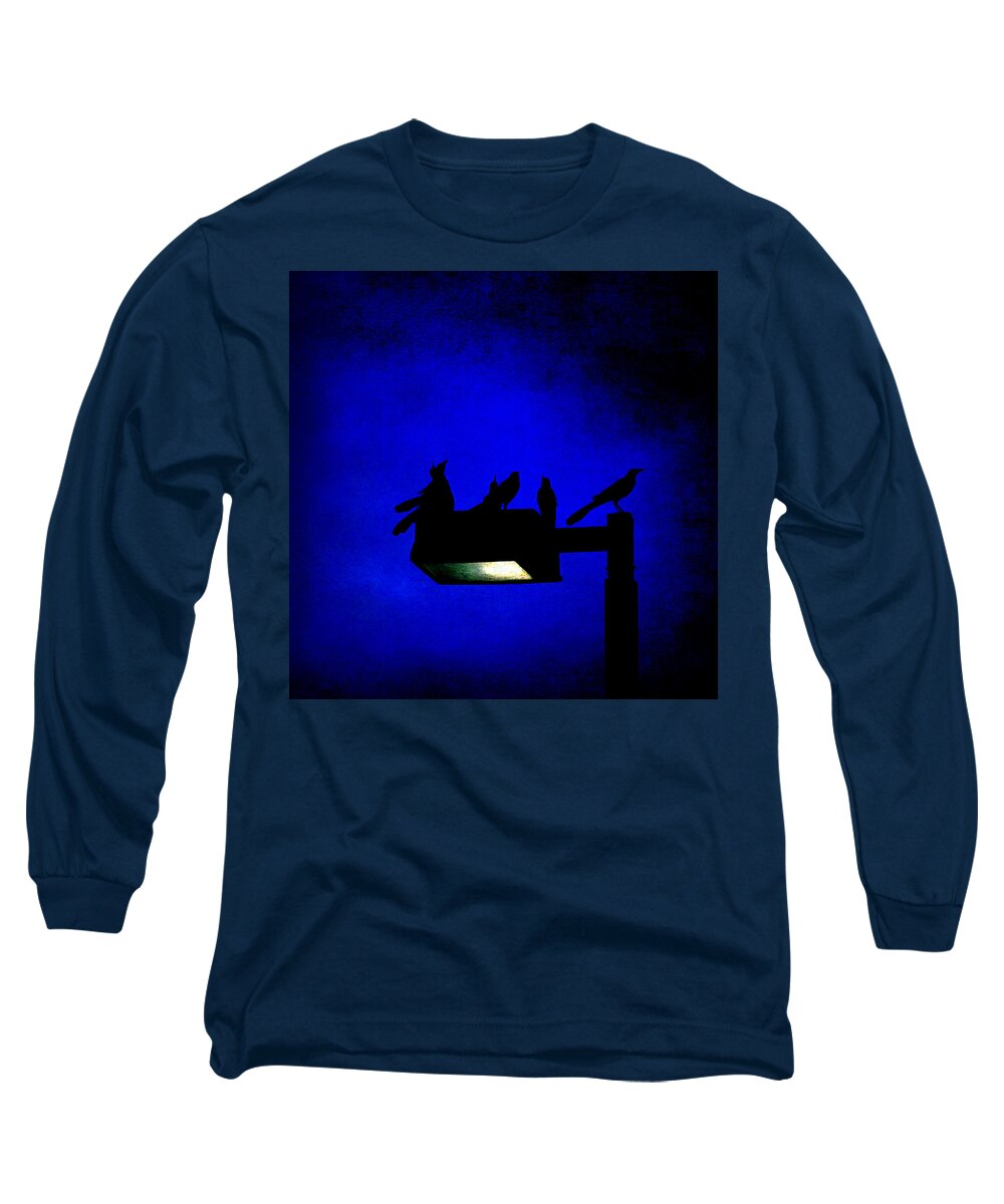 Birds Long Sleeve T-Shirt featuring the photograph Sleepless at Midnight by Trish Mistric