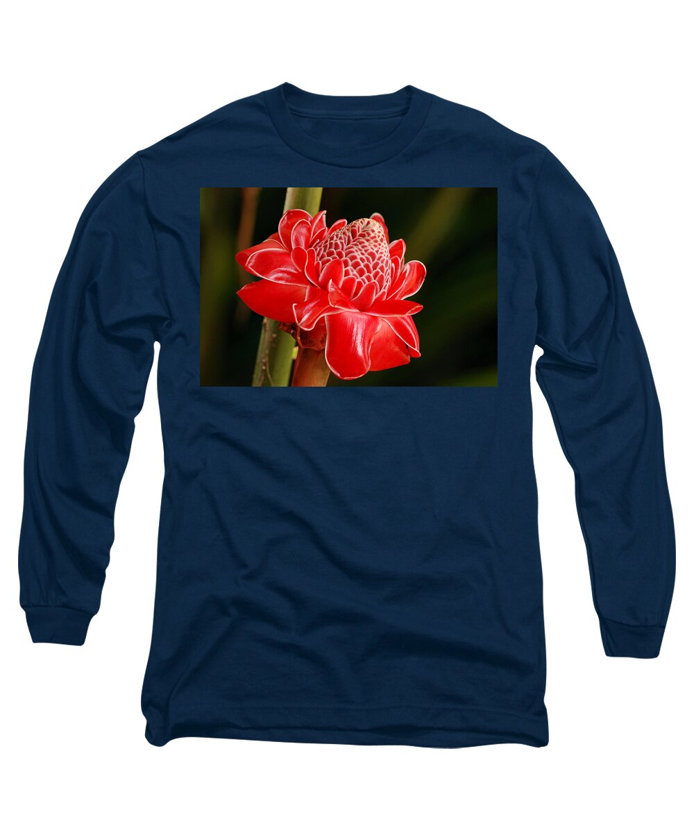 Nature Long Sleeve T-Shirt featuring the photograph Torch Ginger by Lorenzo Cassina